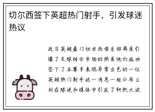 切尔西签下英超热门射手，引发球迷热议